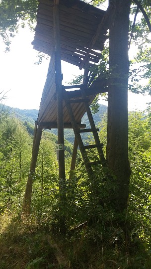 img00012.jpg