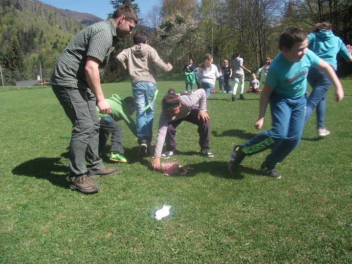 img00019.jpg