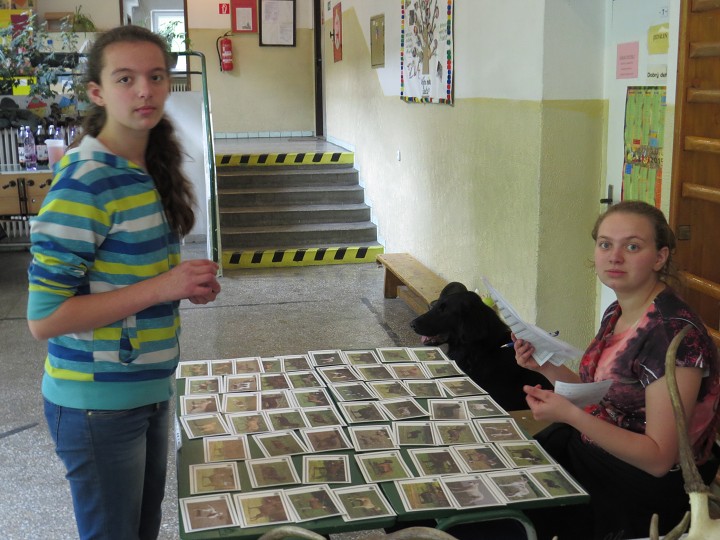 img00015.jpg